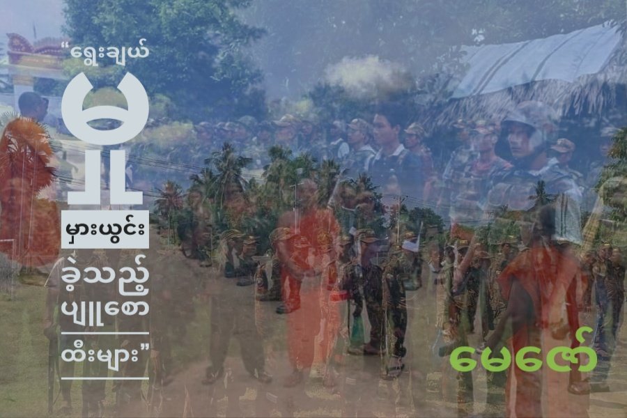 ရွေးချယ်မှု မှားယွင်းခဲ့သည့် ပျူစောထီးများ