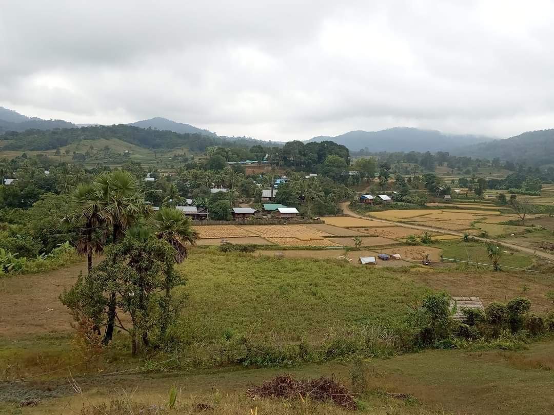 တော်လှန်ရေးကြောင့် ယောနယ်ရဲ့ ပြောင်းလဲမှုများ