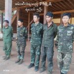 တိုက်ပွဲအတွင်း ဖမ်းဆီးခံလိုက်ရသော PNLA ရဲဘော် ၅ ဦးကို PNO ပြည်သူ့စစ်က သတ်ဖြတ်