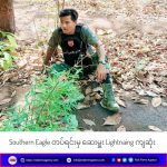 Southern Eagle တပ်ရင်းမှ ဆေးမှူး Lightning ကျဆုံး