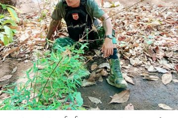 Southern Eagle တပ်ရင်းမှ ဆေးမှူး Lightning ကျဆုံး